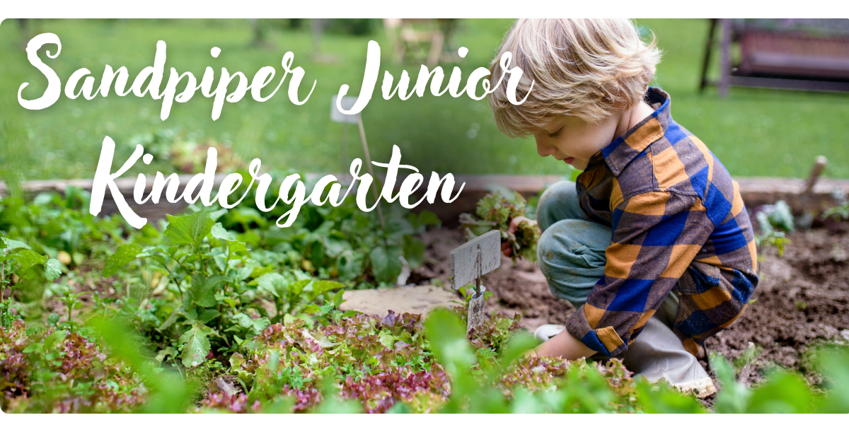 Junior Kindergarten background website