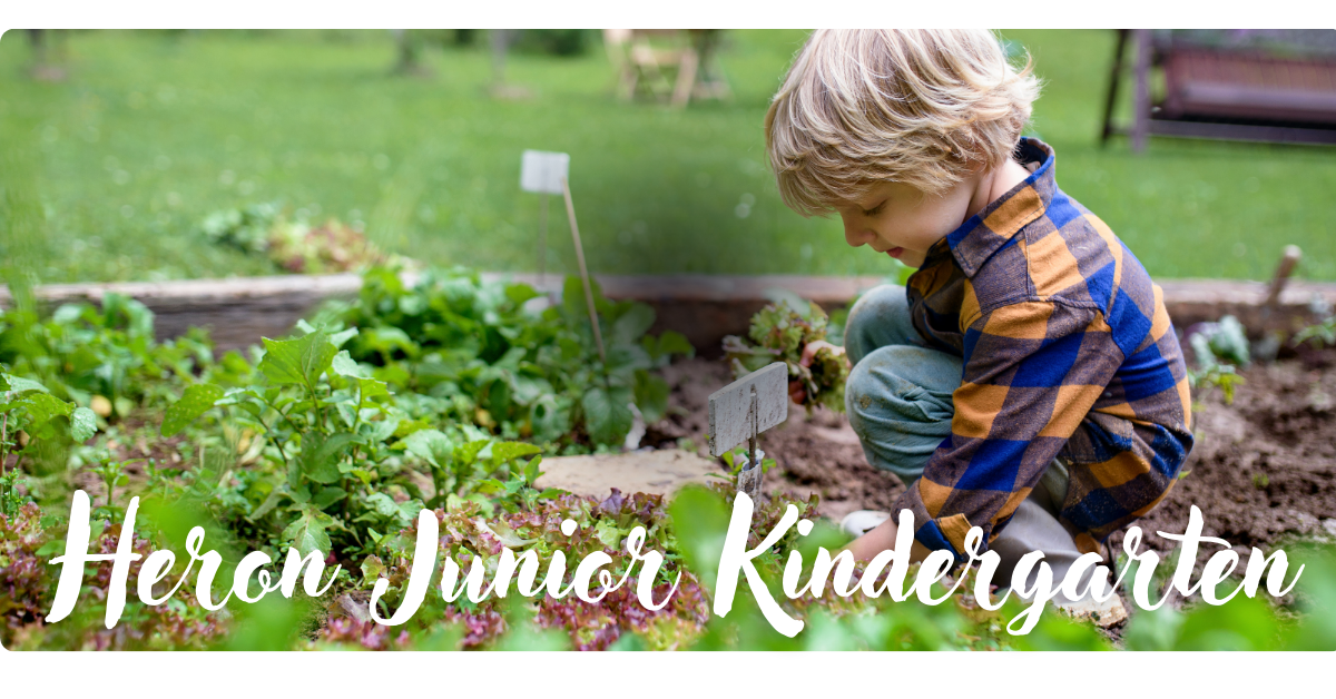 Junior Kindergarten background website